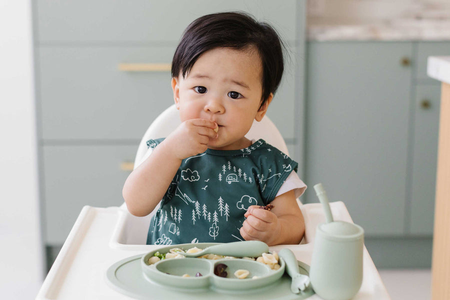 Practice Feeding Skills with Kit 3